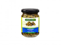 MDG Kapern kl MDG Kapern kl